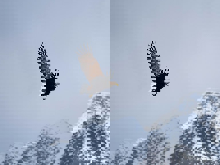 unsplash test